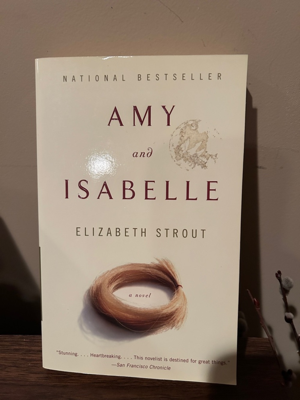 Amy and Isabelle by Elizabeth Strout - Vintage Great condition Paperback